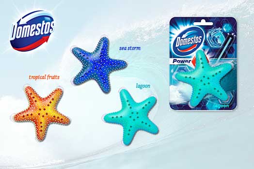 Bloc toilette Domestos-cliquez pour agrandir